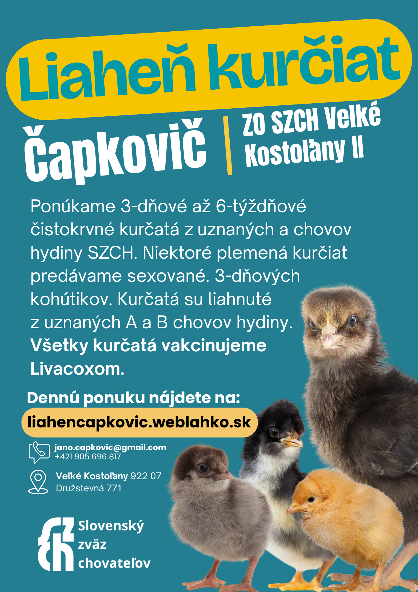 Liaheň čistokrvných kurčiat ZO SZCH VeľkéKostoľany II – Čapkovič