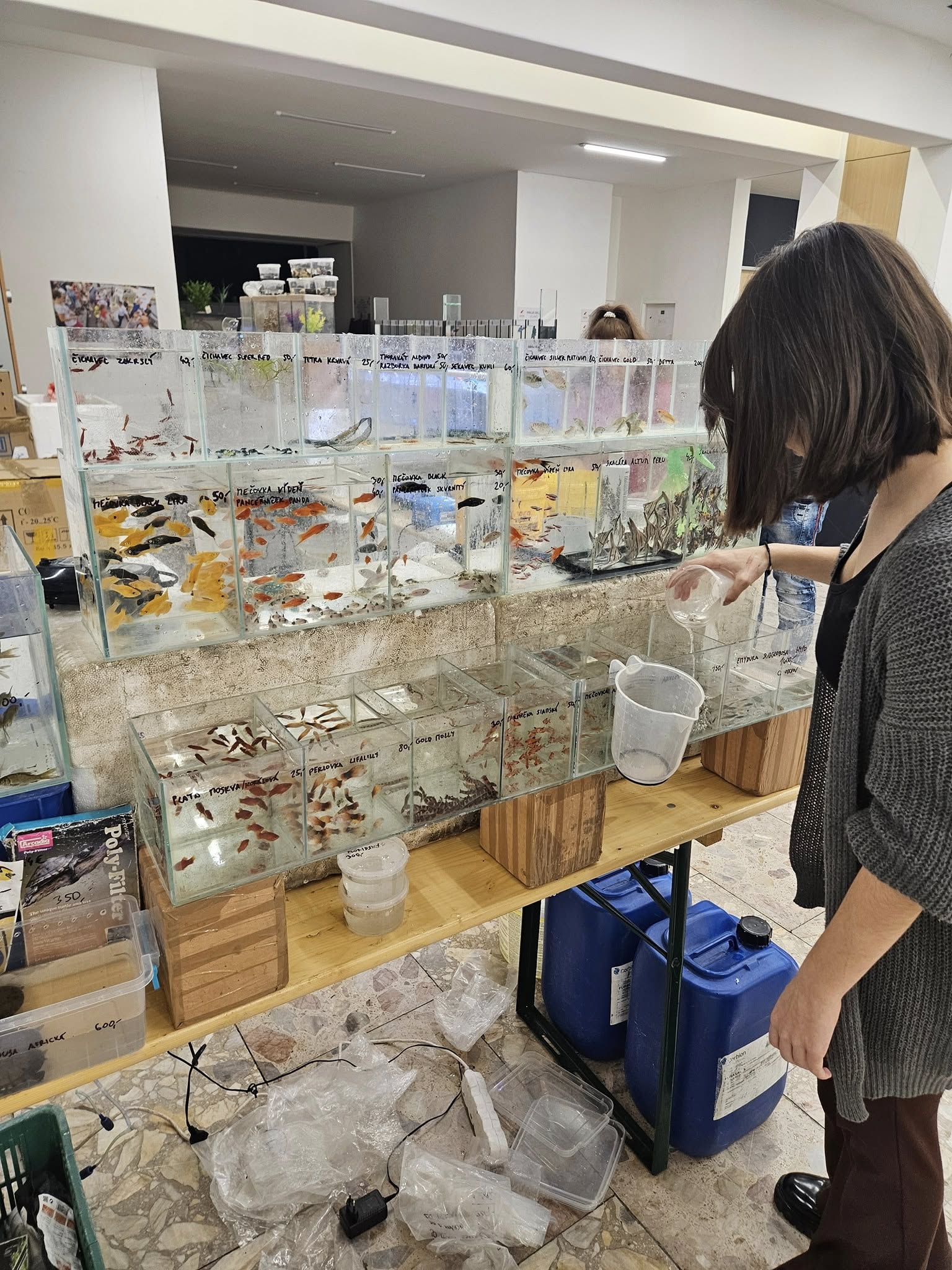 chovateľská sobota začala s CULTUS