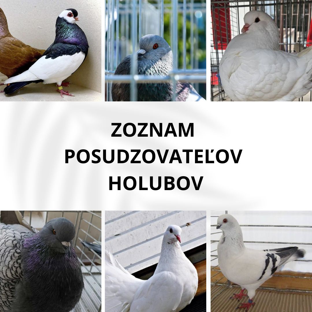 Zoznam posudzovateľov na rok 2025