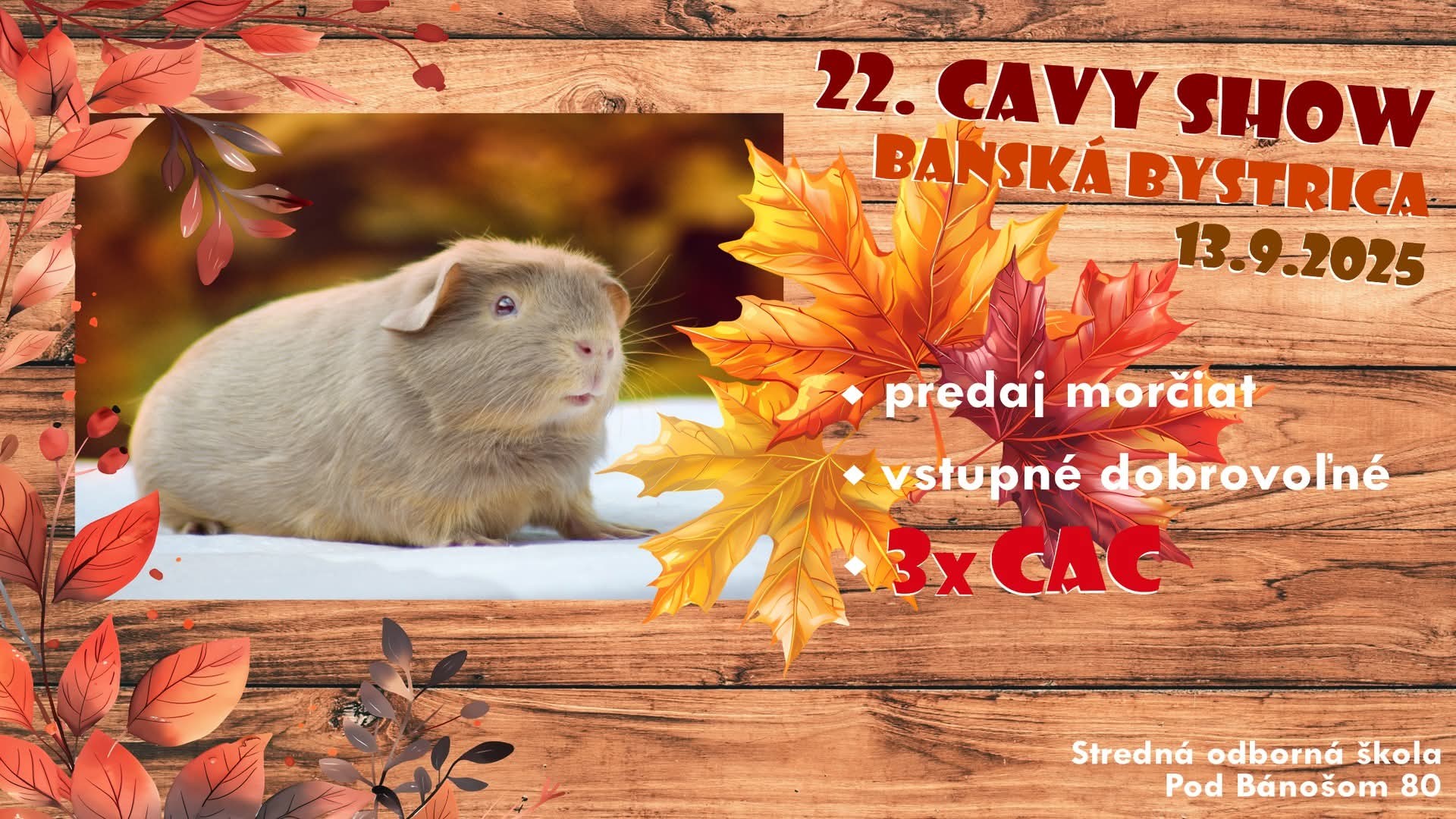 Cavy show Banská Bystrica – 13.9.2025