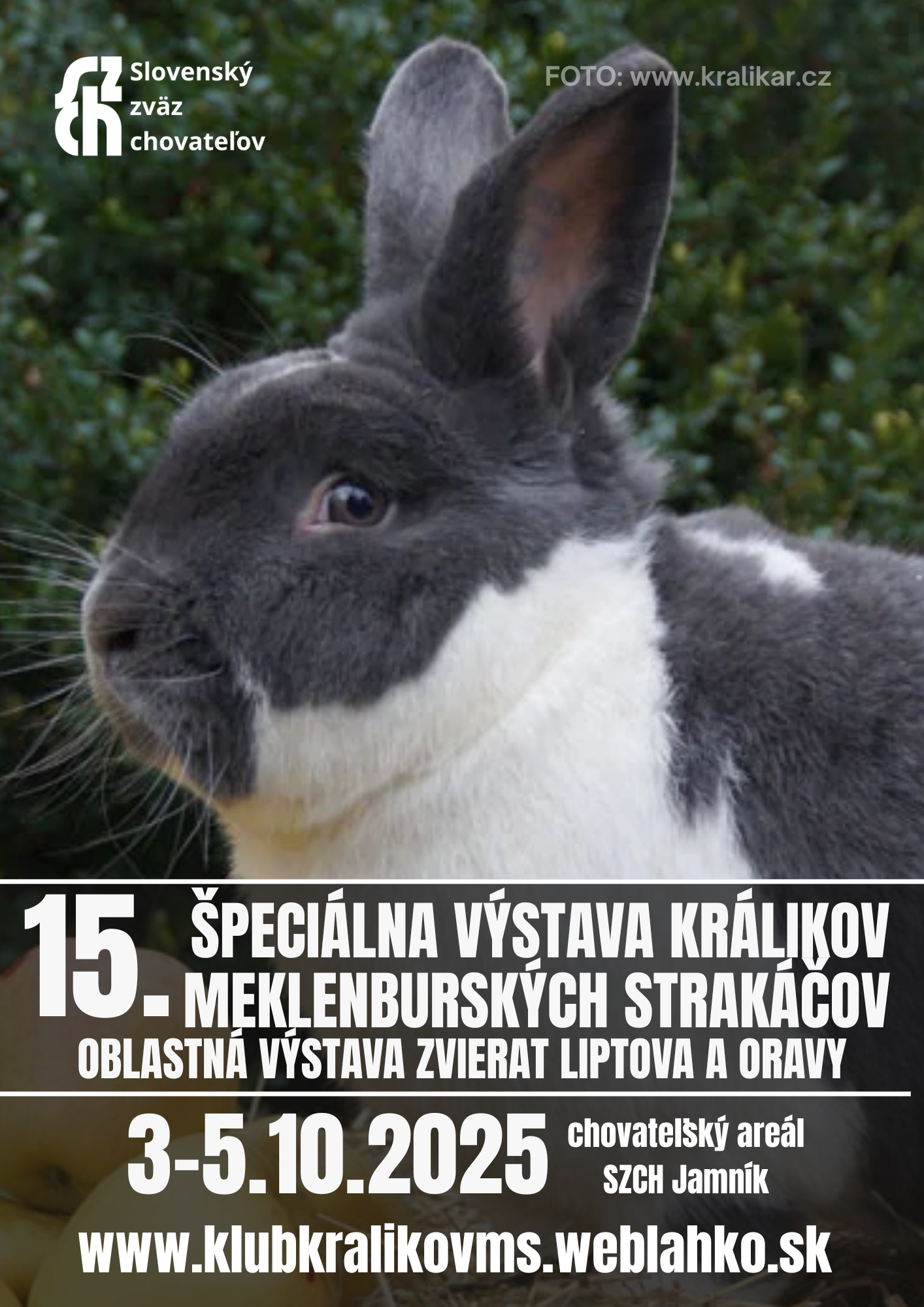 Špeciálna výstava králikov Meklenburských strakáčov – 3.-5.10.2025