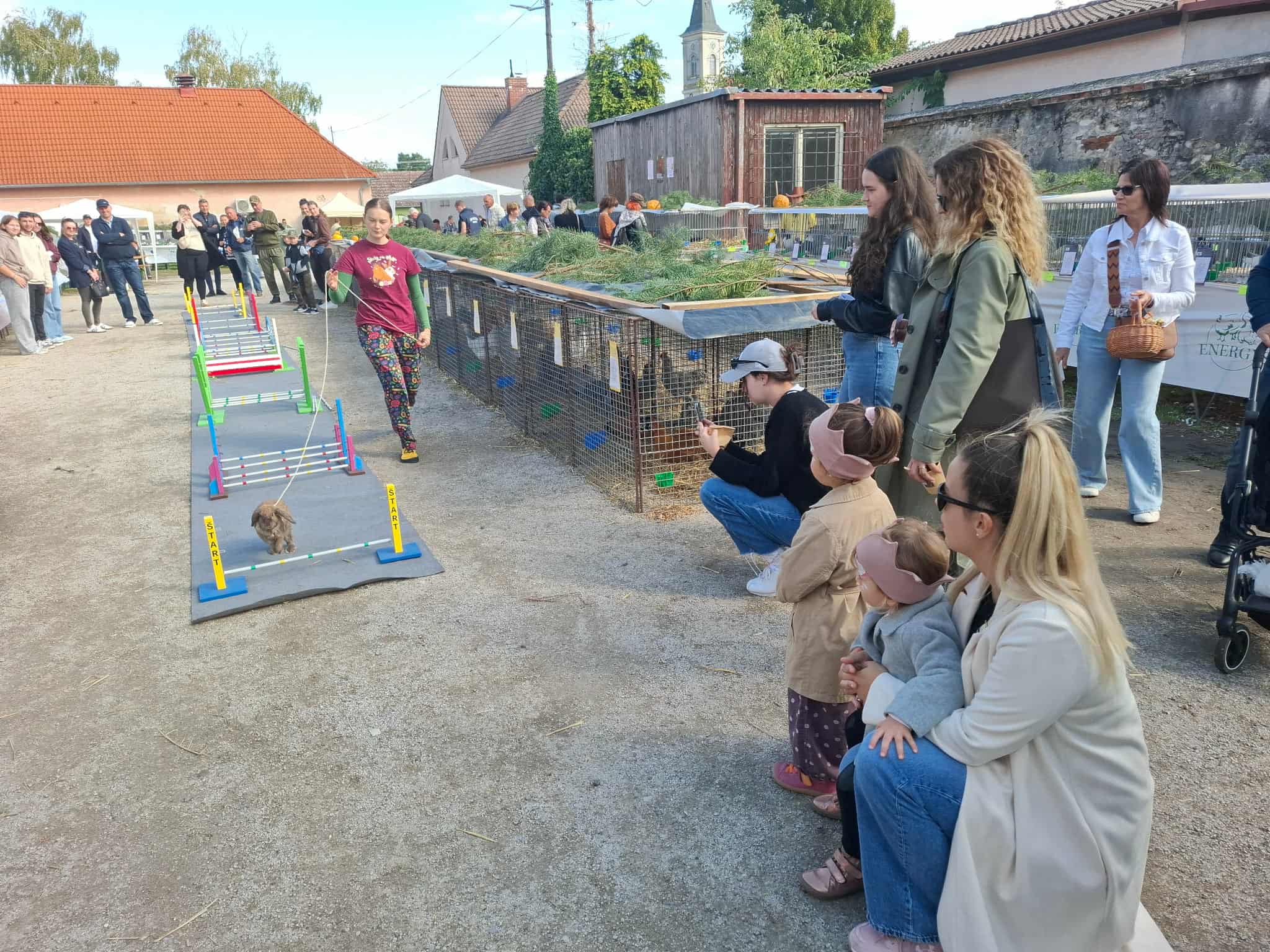 Králiky predviedli svoje skokanské umenie na Hodovej výstave v Gbeloch