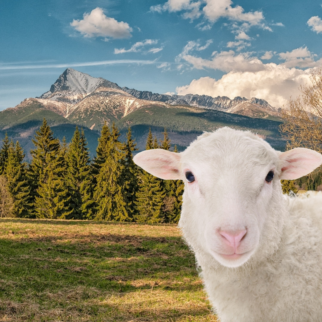 Zonácia TANAP-u: viac ochrany aj návrat oviec