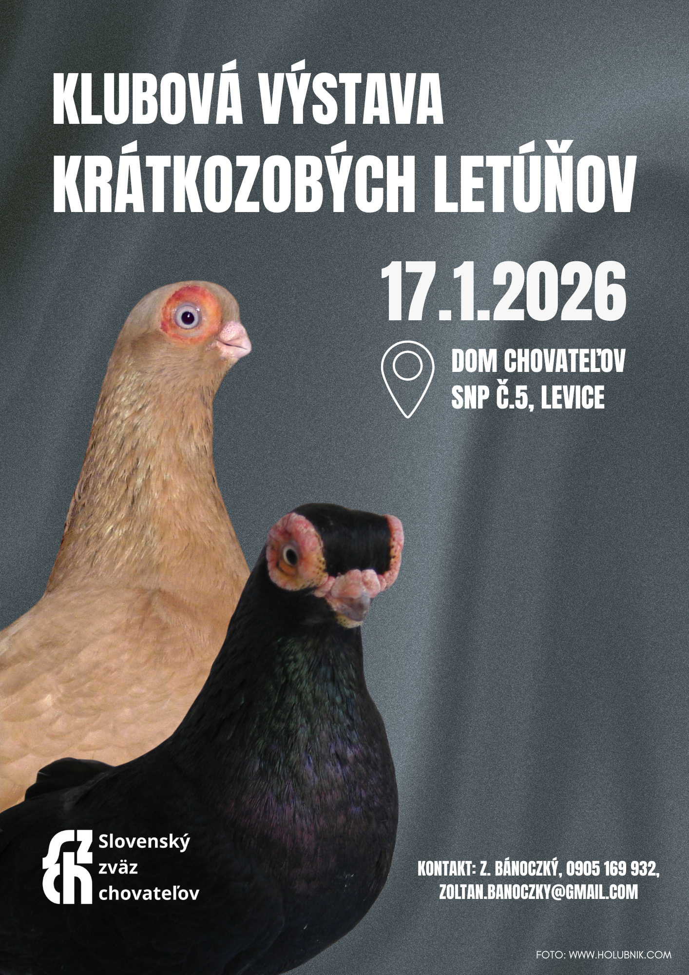 Klubová výstava krátkozobých letúňov – 17.1.2026