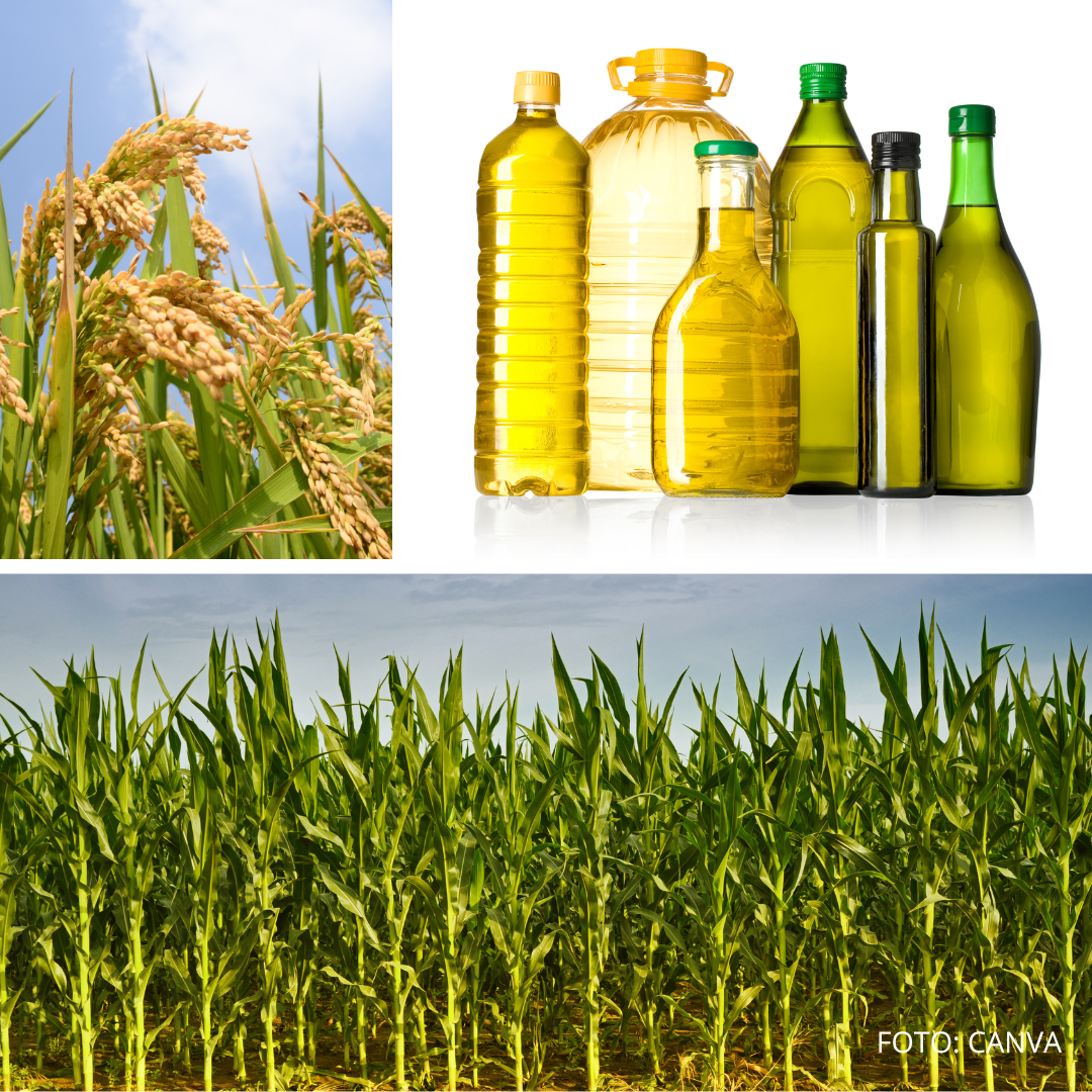 Rok 2025 priniesol pestovateľom prekvapivo dobrú úrodu, no aj obavy z politických rozhodnutí