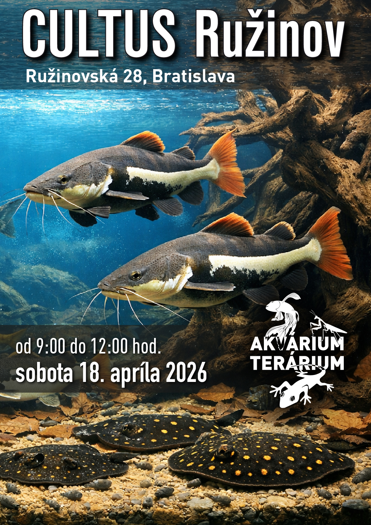 AKVA burza 18.4.2026